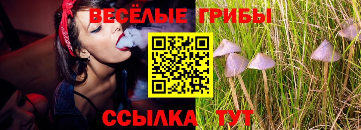 Псилоцибиновые грибы ЛСД  Псилоцибиновые грибы Magic Shrooms  Старая Русса  наркота  Вход с VPN 