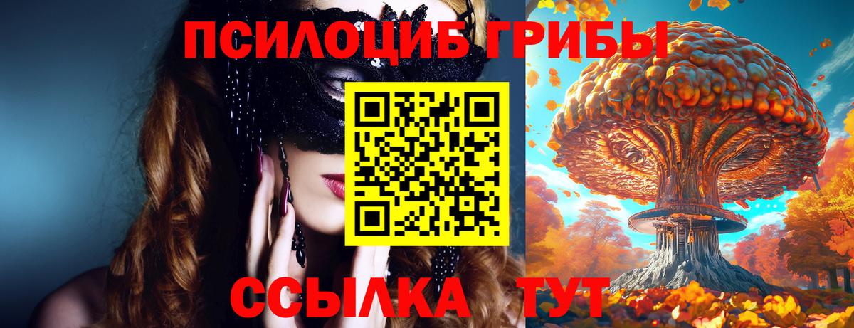Псилоцибиновые грибы мухоморы Старая Русса