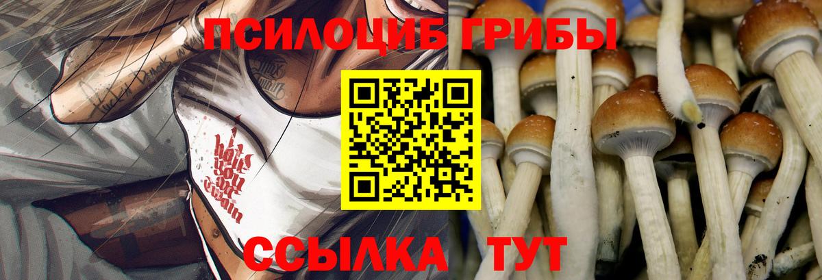 Галлюциногенные грибы Cubensis  Старая Русса  Псилоцибиновые грибы Cubensis 